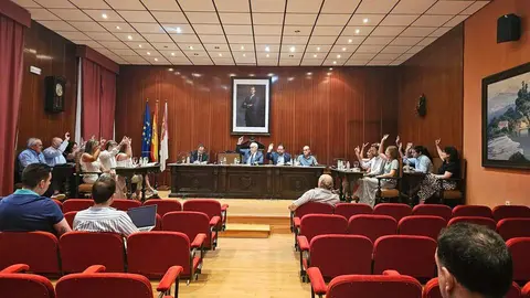 Pleno de Manzanares