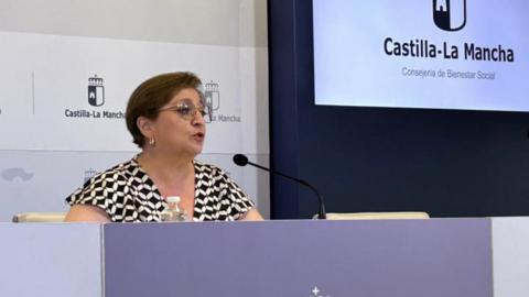 La viceconsejera de Servicios y Prestaciones Sociales, Guadalupe Mart&iacute;n