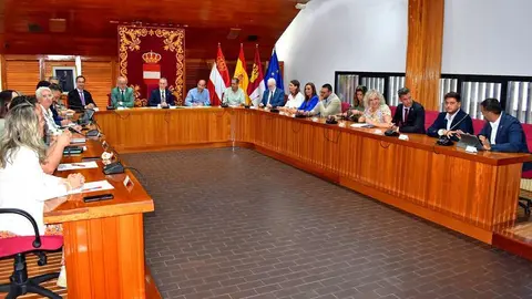 Pleno de Puertollano