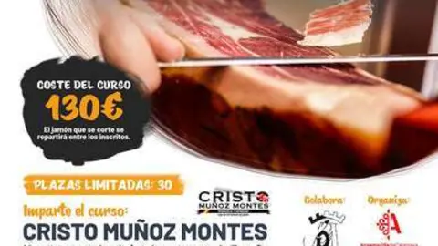 Cartel del curso