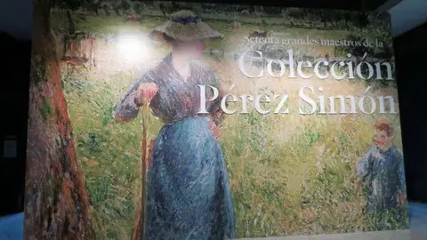 T&iacute;tulo de la exposici&oacute;n