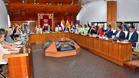 Pleno Puertollano