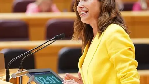 La senadora del Partido Popular por la provincia de Ciudad Real, Rosa Romero