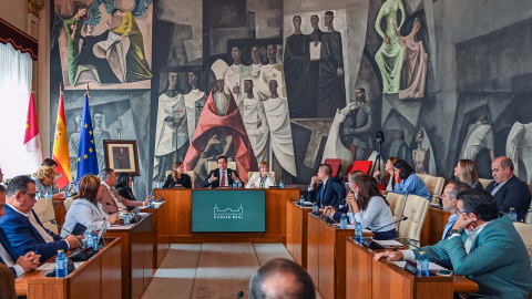 Pleno Diputaci&oacute;n