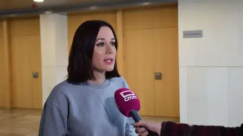 La directora general de Turismo, Comercio y Artesan&iacute;a, Ana Isabel Fern&aacute;ndez