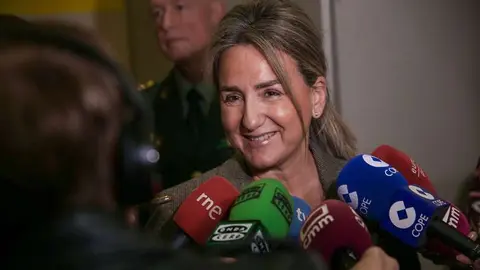 La delegada del Gobierno de Espa&ntilde;a en Castilla-La Mancha, Milagros Tol&oacute;n