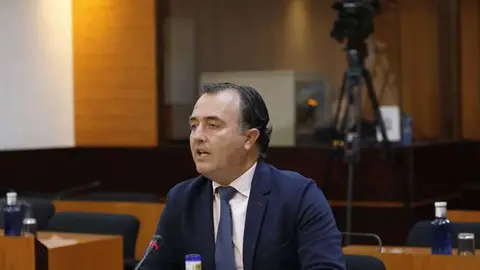 El presidente del grupo parlamentario Vox en las Cortes de Castilla-La Mancha, David Moreno