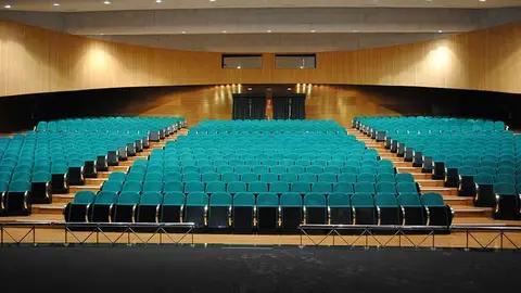 Patio Butacas Teatro Auditorio Valdepe&ntilde;as