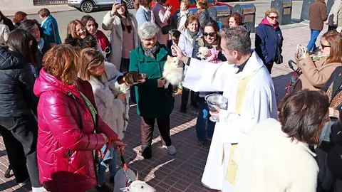 El p&aacute;rroco, bendiciendo las mascotas tras la funci&oacute;n religiosa de mediod&iacute;a