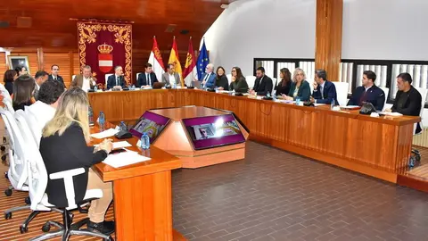 Pleno de Puertollano