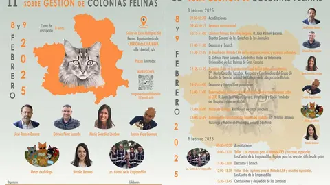 Cartel y programa de las Colonias Felinas
