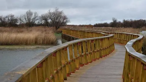 Tablas Daimiel