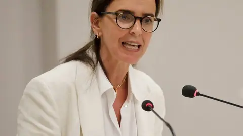 La diputada por Ciudad Real del Partido Popular, Carmen F&uacute;nez