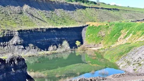 Carbon&iacute;fero