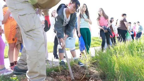 Una alumna, tapando por tierra las ra&iacute;ces de una de las plantas