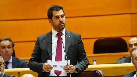 El senador del Partido Popular por la provincia de Ciudad Real, Ra&uacute;l Valero
