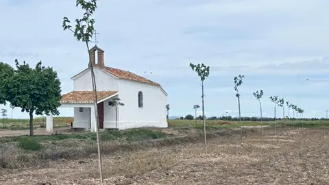 La ermita de San Isidro, con varias de las moreras plantadas a su alrededor
