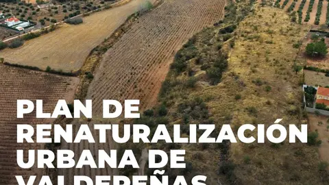 Captura de pantalla 2025-06-17 120735