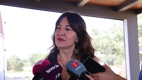 La vicesecretaria General del PSOE provincial de Ciudad Real, Blanca Fern&aacute;ndez