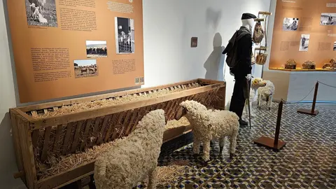 Museo del Queso Manchego