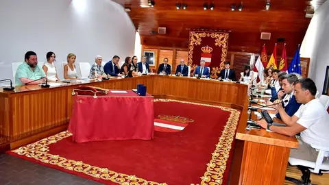 Pleno Puertollano