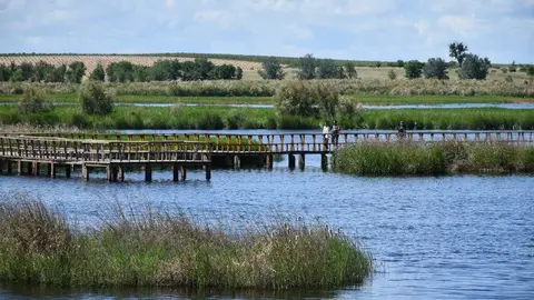 Parque Nacional de las Tablas de Daimiel