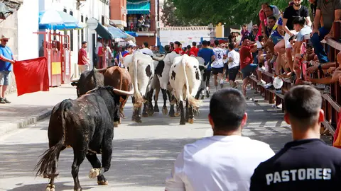 Bravos y mansos, en los &uacute;ltimos momentos del Encierro de hoy