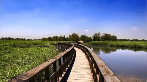 Tablas de Daimiel