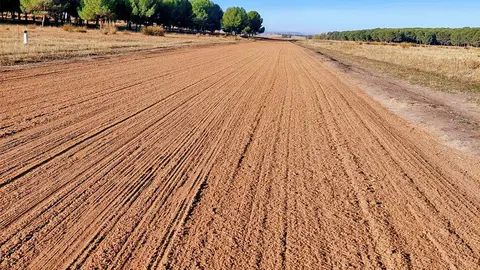 Aspecto de la pista rabanera para competiciones de galgos