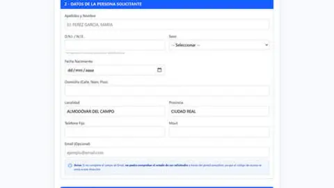 Captura de pantalla del nuevo servicio de gesti&oacute;n de empleo municipal
