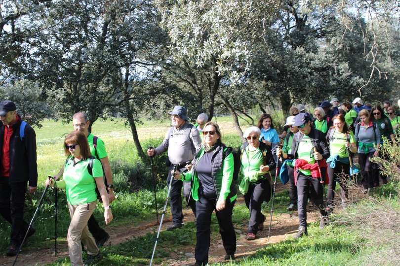 pozo norte (3)