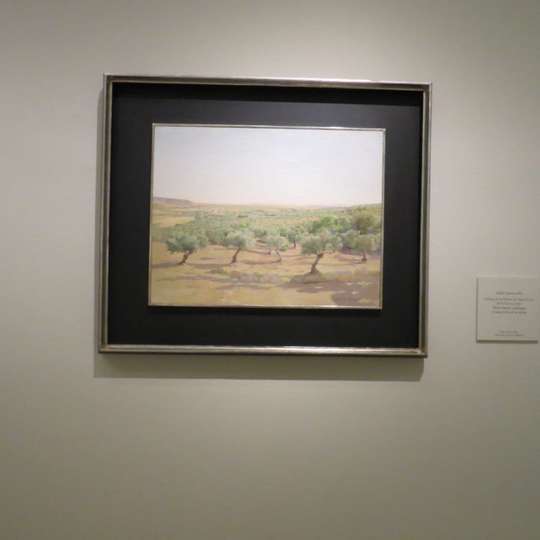 Paisaje de la dehesa en Santa Cruz de la Sierra, 1976. Isabel Quintanilla