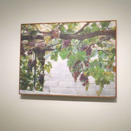 Uvas en el patio, 1972. Isabel Quintanilla