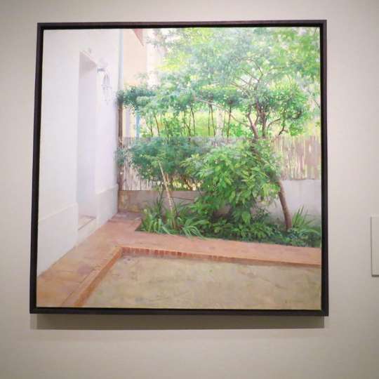 Entrada de casa, 1987. Isabel Quintanilla