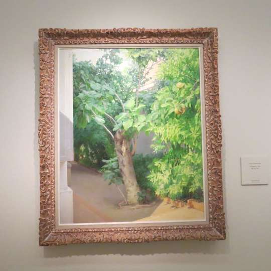 La higuera, 1995. Isabel Quintanilla