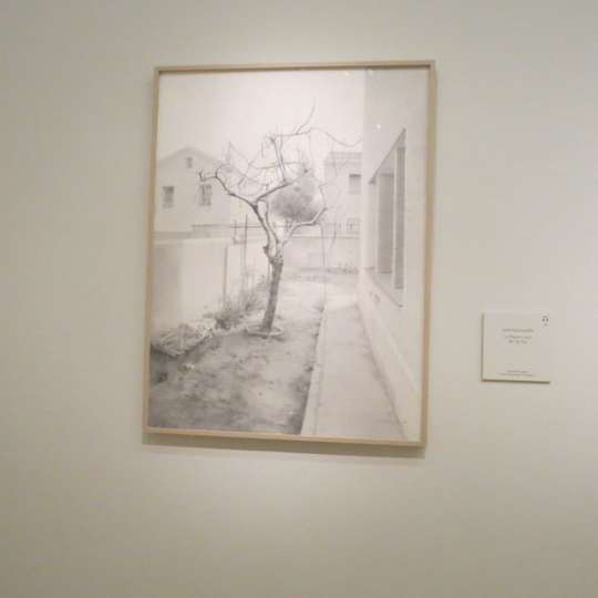 La higuera, 1973. Isabel Quintanilla