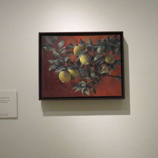 Los limones, 1965. Isabel Quintanilla