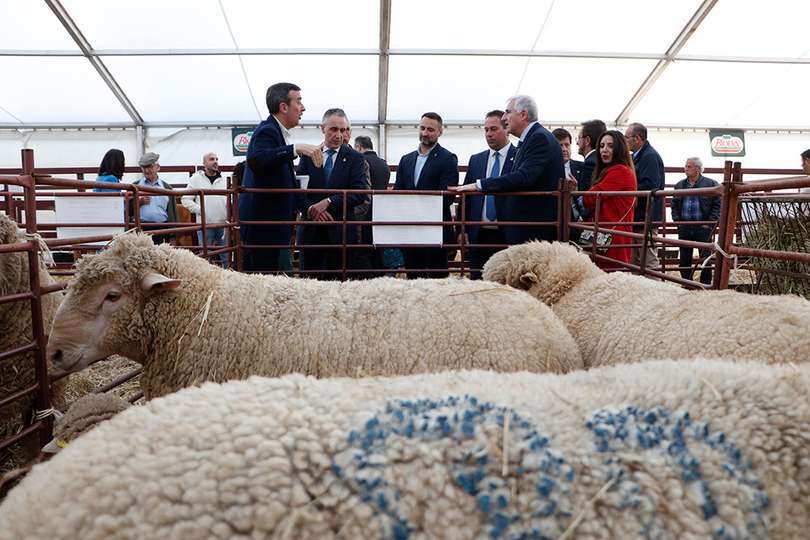 Urbano Herrero, comisario de la sección ganadera, a la izquerda, dando indicaciones a las autoridades