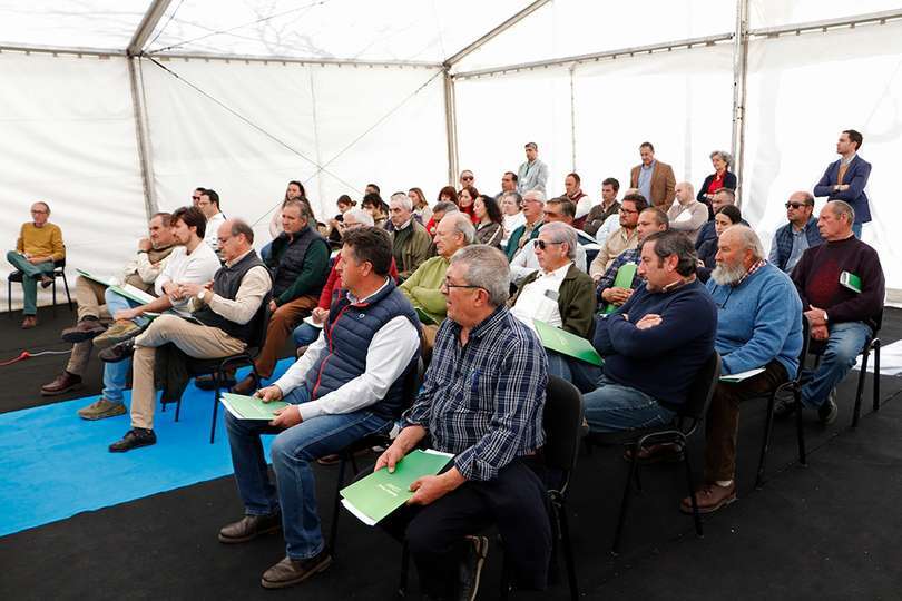Profesionales asistentes a las charlas