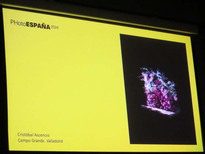 Cristobal Ascencio. Campo Grande. Valladolid