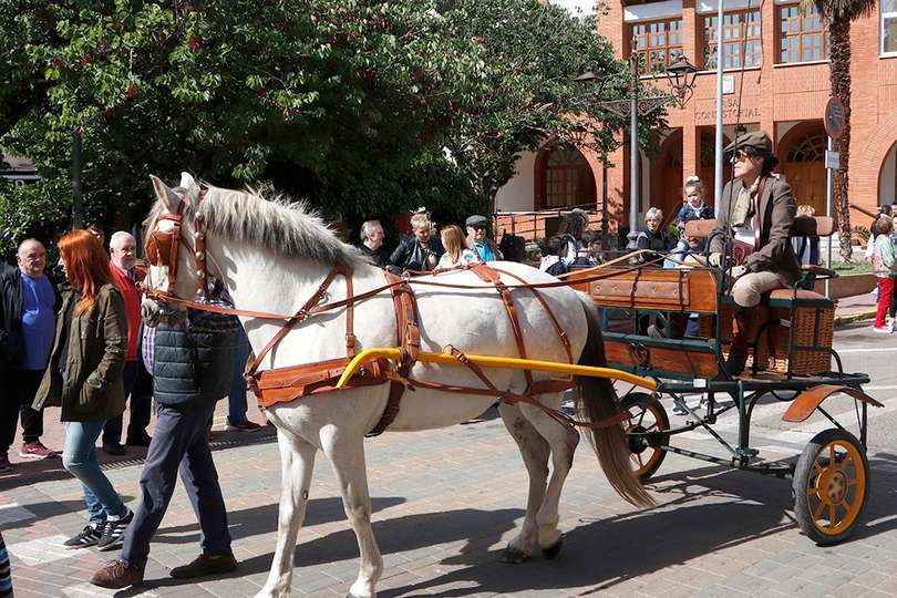 Calesa tirada a caballo