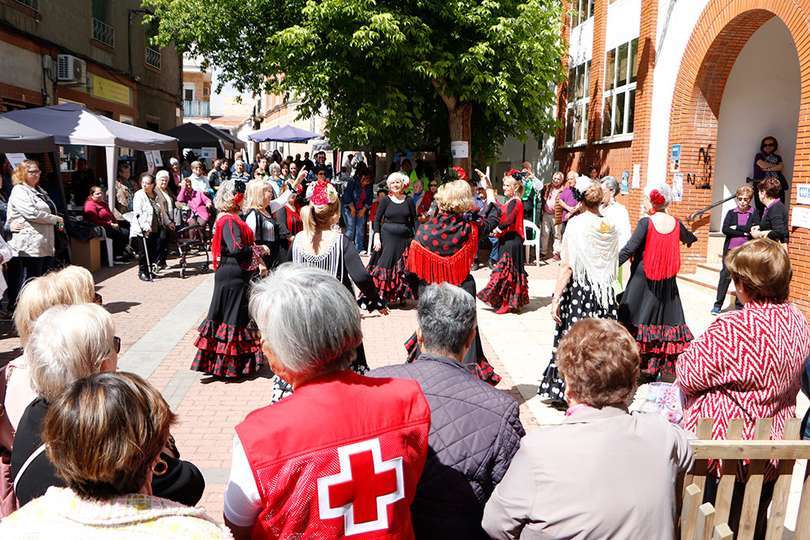 Exhibición de bailes flamencos