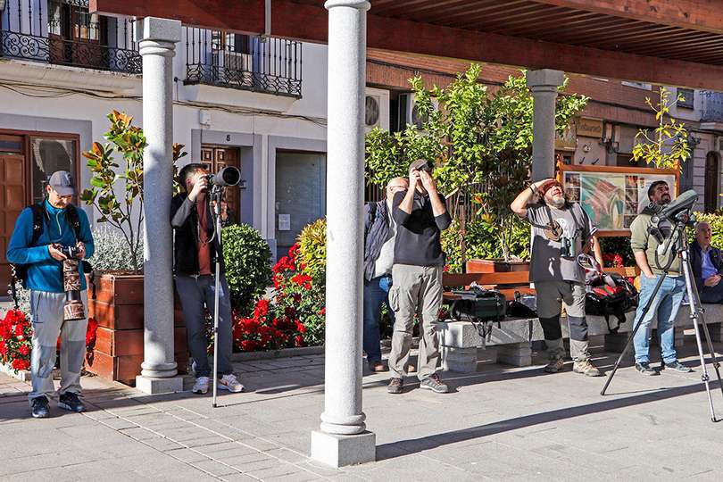 Lugar de observación, esta mañana en la Plaza Mayor de Almodóvar del Campo