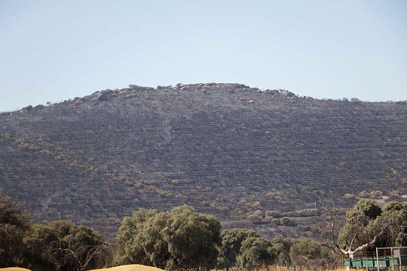 Estado de calzinación en que ha quedado uno de los montes afectados