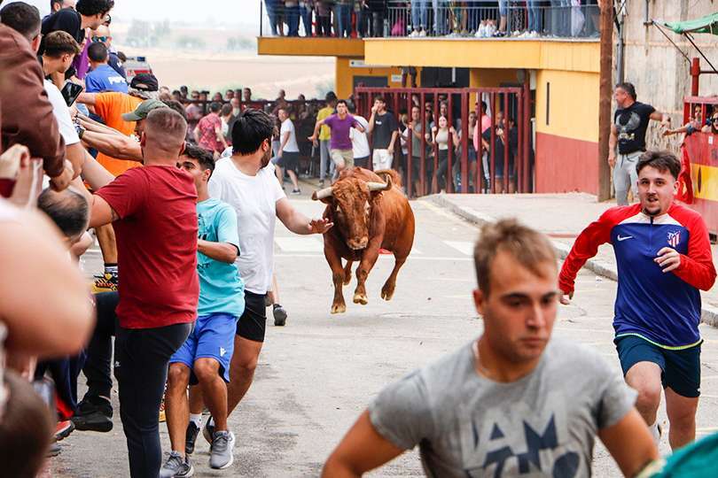 Una de las carreras que esta mañana se han podido contemplar por el recorrido
