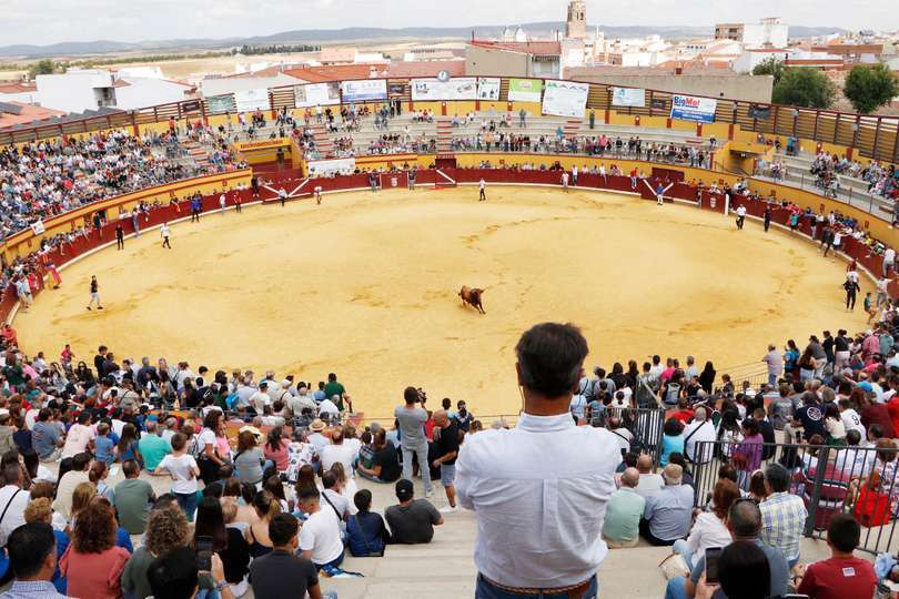 Panorámica del coso de 'Las Eras de Marta' este sábado