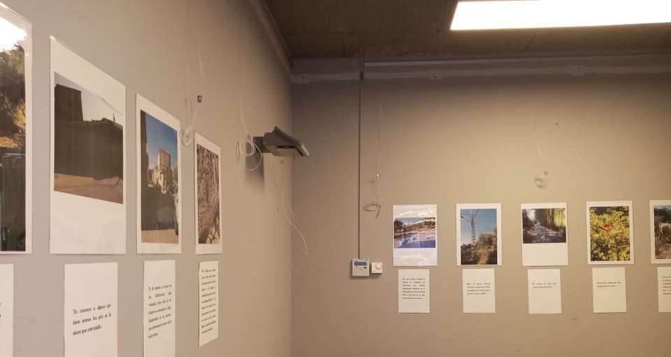 Otra vista de la exposición