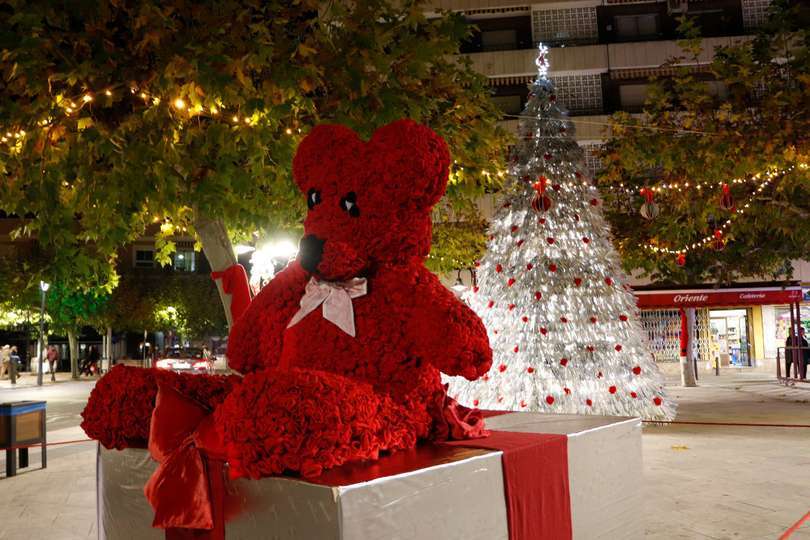 Simpática estampa en la Plaza Palacio