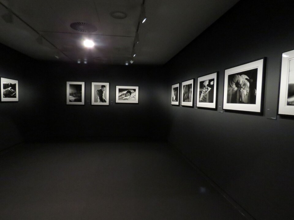 Vista de la exposición