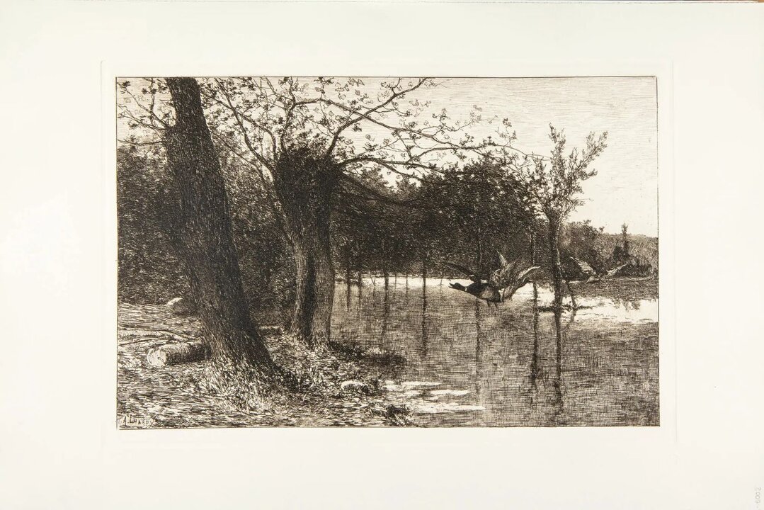 Agustin-Lhardy